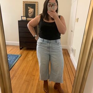 AE Wide Leg Crop Jean Distressed Light Wash